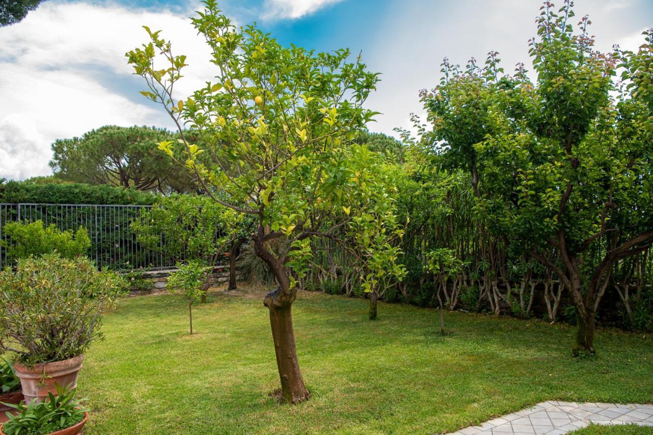 Magnificent Villa Sanremo Exteriör bild